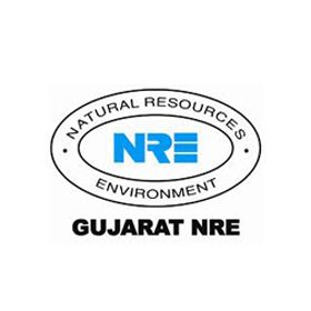 Gujarat NRE Coke Limited