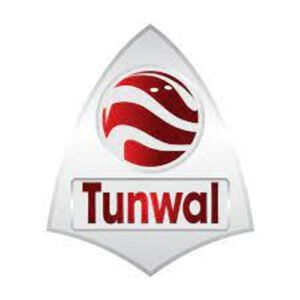 Tunwal E-motors Unlisted Shares